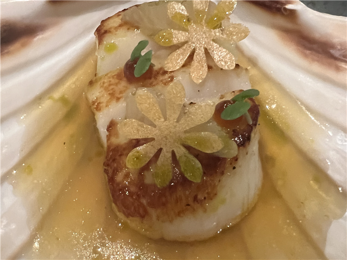 scallop